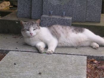 20070611h.jpg