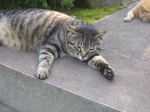 20070611i.jpg