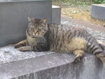 20070611o.jpg