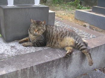 20070611q.jpg