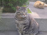 20070611r.jpg