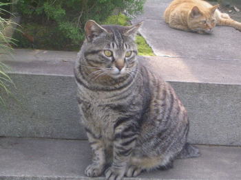 20070611s.jpg
