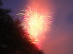 20070729i.jpg