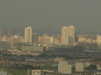 20070808z.jpg