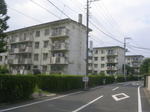20070918b.jpg