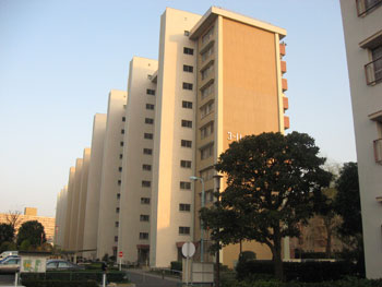 200806040.jpg