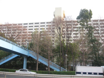20080604f.jpg