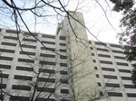 20080604g.jpg