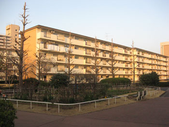 20080604x.jpg