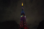 20081207b.jpg