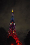 20081207f.jpg