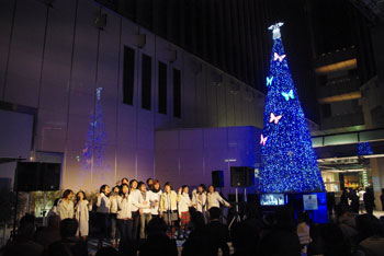 20081210a.jpg