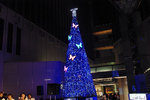 20081210b.jpg