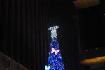 20081210c.jpg
