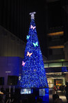 20081210d.jpg