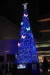 20081210e.jpg