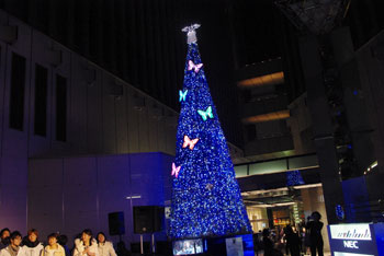 20081210g.jpg