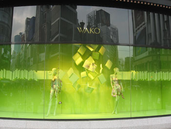 20090206a.jpg