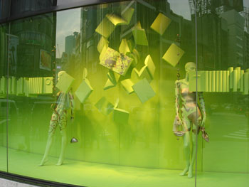 20090206c.jpg