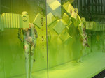20090206d.jpg