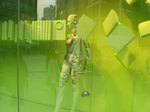20090206g.jpg