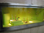 20090206p.jpg