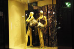20090211a.jpg