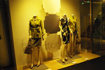 20090211i.jpg