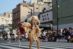 20090831116.jpg