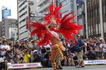 20090831134.jpg