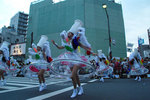 20090831206.jpg