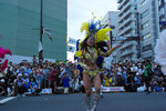 20090831208.jpg