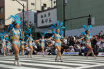 2009083163.jpg